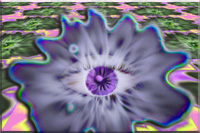 eye
