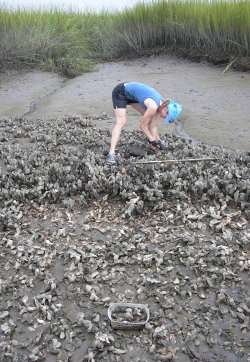 alien crabs