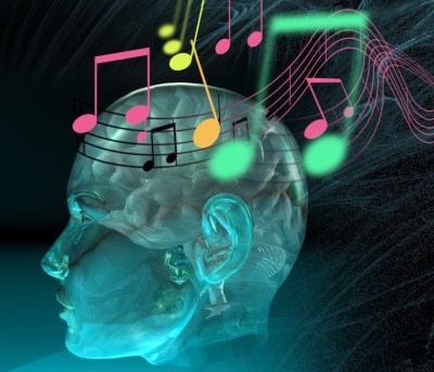 brain